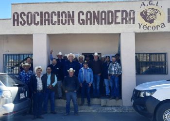Actualiza Gobierno de Sonora a técnicos y productores sobre exportación de ganado