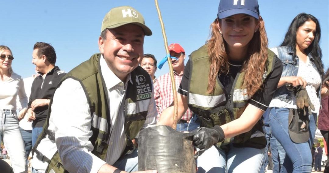 Reconocen gobierno de Toño Astiazarán por arborización e innovación en el cuidado de árboles