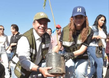Reconocen gobierno de Toño Astiazarán por arborización e innovación en el cuidado de árboles