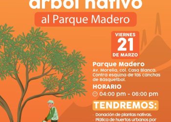 Realizará Ayuntamiento de Hermosillo donación masiva de árboles nativos y plantas