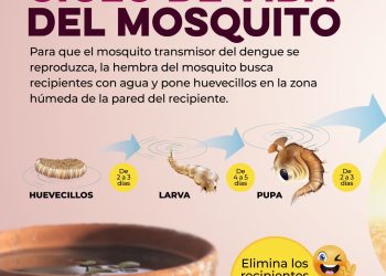 Gobierno de Sonora refuerza acciones para prevenir enfermedades