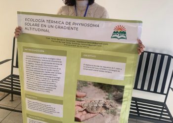 Participará Universidad de la Sierra en investigación internacional para conservar especie de lagarto