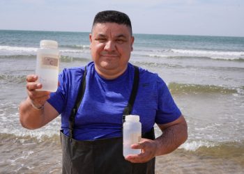 Supervisa Gobierno de Sonora playas y albercas en la entidad: Secretaría de Salud Pública