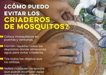 Gobierno de Sonora anticipa acciones contra el dengue para disminuir casos y continuar sin defunciones