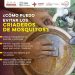 Gobierno de Sonora anticipa acciones contra el dengue para disminuir casos y continuar sin defunciones