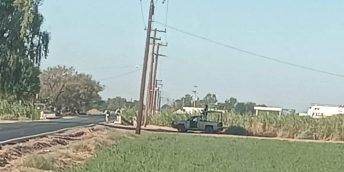 Encuentran un cuerpo con huellas de violencia a escasos metros de una escuela en San Luis Río Colorado