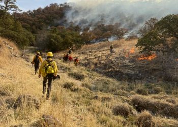 Brigada Estatal de Manejo de Fuego junto a autoridades e los 3 niveles de gobierno, combate incendio forestal