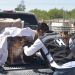 Apoya Protección y Bienestar Animal en el traslado de perros rescatados a albergue que buscan un hogar definitivo