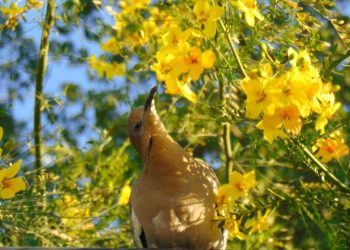 Cierra con éxito Concurso de Fotografía “El Sol del Desierto”