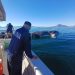 MARINA en coordinación con PROFEPA y PC de Guaymas, realizaron maniobra de puesta a flote de ballena varada en Playa Miramar