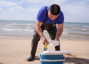 Alista Gobierno de Sonora acciones preventivas para unas vacaciones seguras: Secretaría de Salud