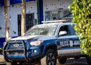 Alrededor de 240 policías de diferentes niveles han perdido la vida durante el gobierno de Claudia Sheinbaum: Causa en común