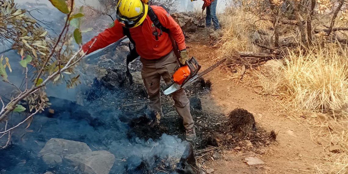Combaten incendio forestal en Bavispe