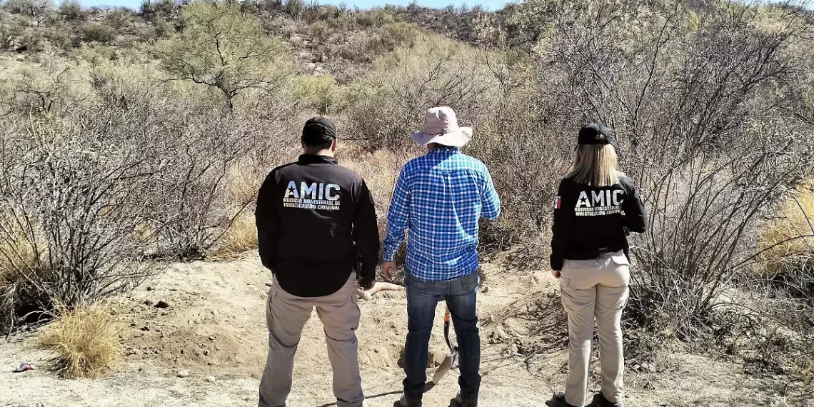 Aumentan desapariciones de menores de edad durante 2024: FNG