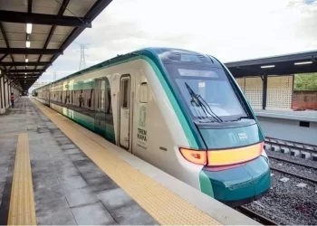 Reconoce Semarnat daños por Tren Maya