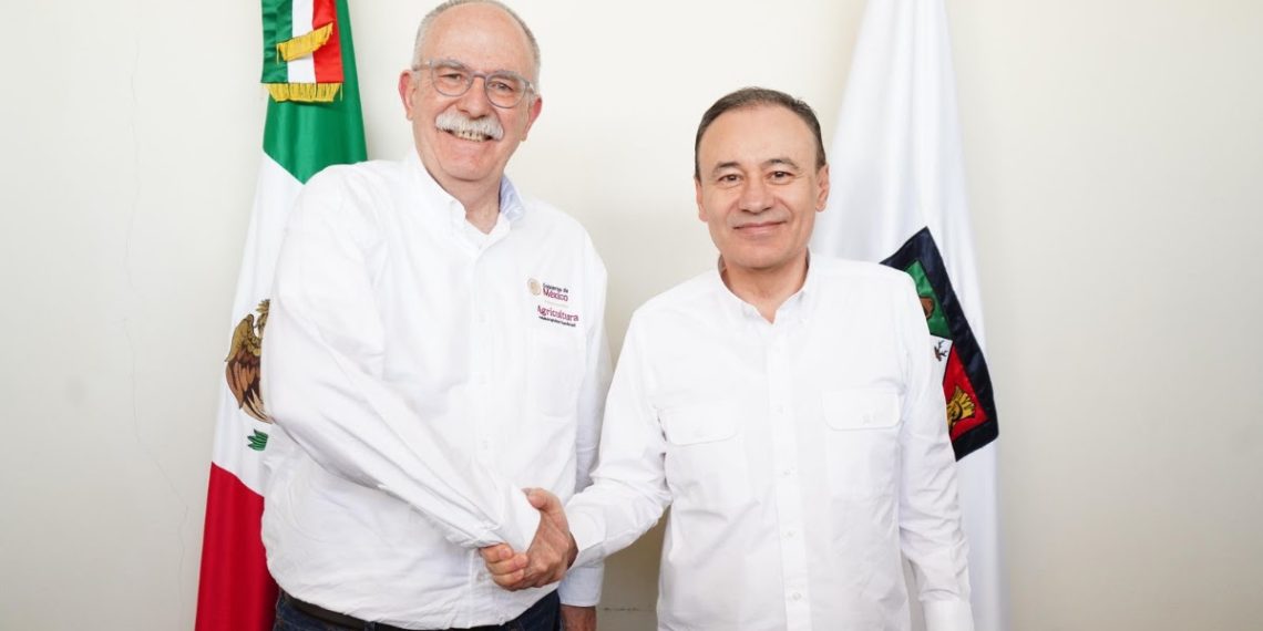 Logra Gobernador Durazo regularizar el ritmo de exportación de ganado a Estados Unidos