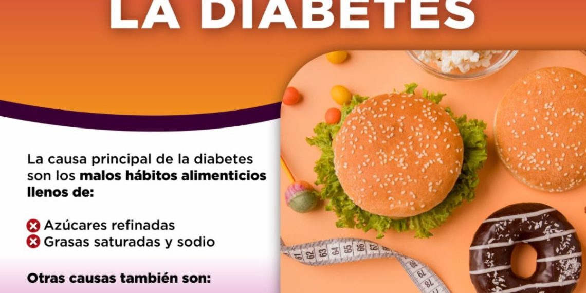 Promueve Gobierno de Sonora sana alimentación a través del Plato del Buen Comer: Secretaría de Salud