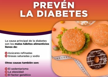 Promueve Gobierno de Sonora sana alimentación a través del Plato del Buen Comer: Secretaría de Salud