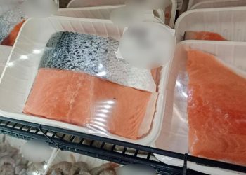 Recomienda Gobierno de Sonora medidas para evitar intoxicaciones por mariscos en mal estado