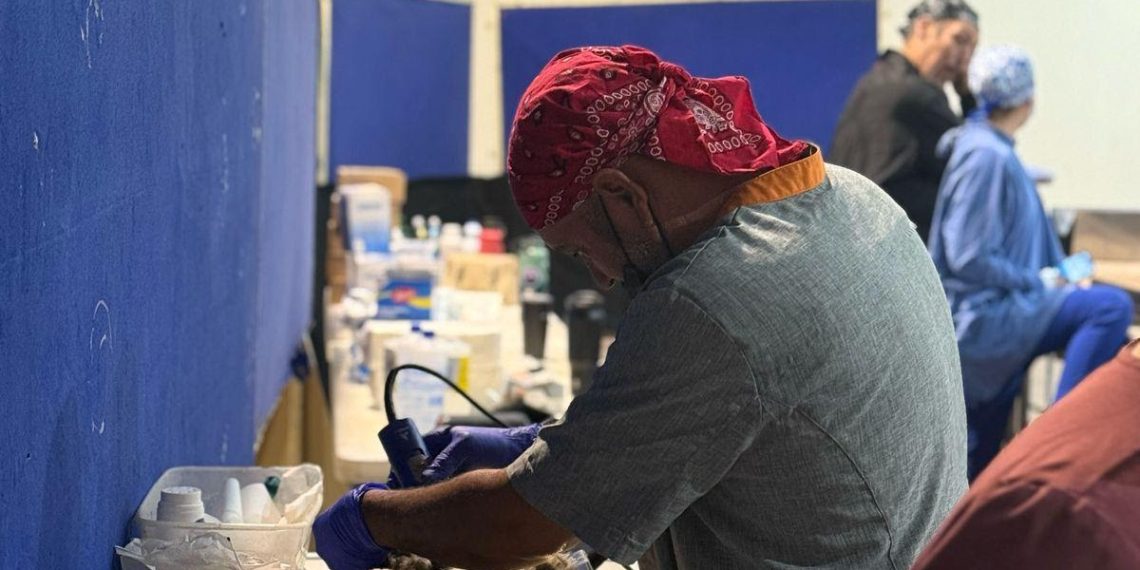 Gobierno de Sonora ofrece servicios en beneficio de animales de compañía en Unison