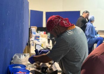 Gobierno de Sonora ofrece servicios en beneficio de animales de compañía en Unison