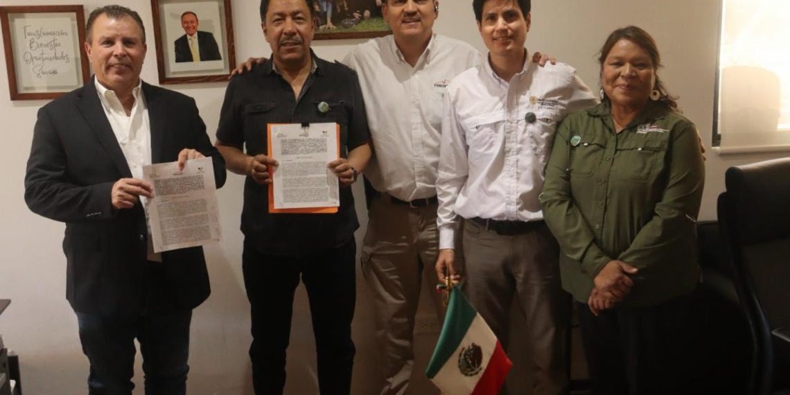Gobierno de Sonora busca conservar al Berrendo Sonorense en convenio con empresa minera