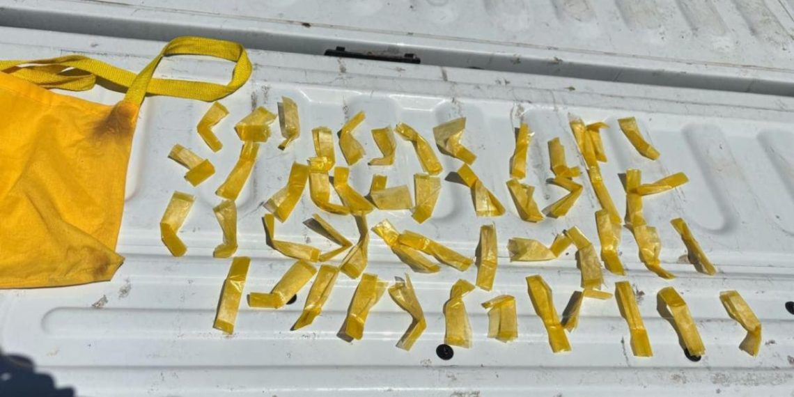 Gobierno de Sonora localiza narcótico en Cerro de la Campana gracias a labores de inteligencia: SSP