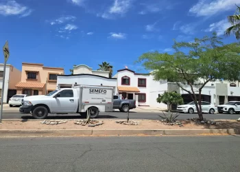 Hallan cuerpo en estado de descomposición