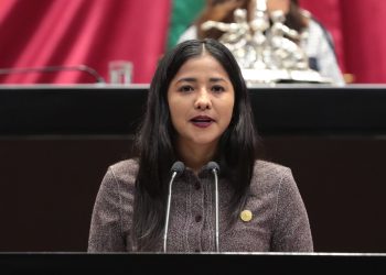 La diputada Azucena Arreola presentó iniciativa que prohíbe uso de imágenes de infantes en propaganda política