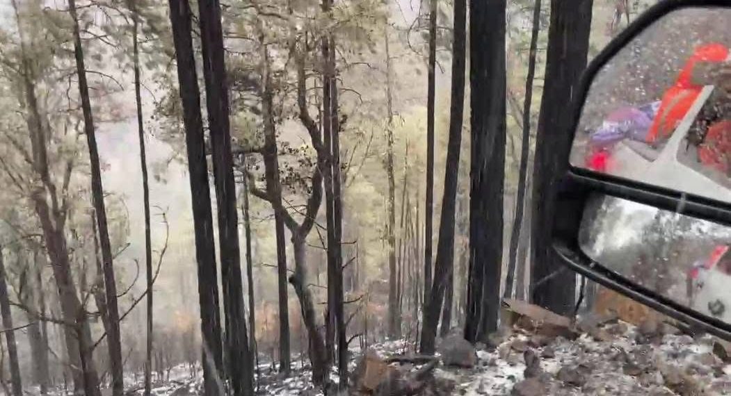 Se alcanza el 70 por ciento de control en incendio forestal en Nácori Chico