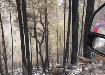 Se alcanza el 70 por ciento de control en incendio forestal en Nácori Chico