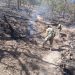 Ejército Mexicano aplica el Plan DN-III-E en la sofocación de un incendio en el Municipio de Yécora, Son.