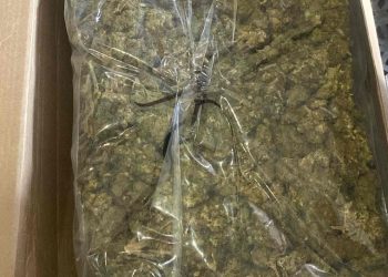 Localiza Gobierno de Sonora paquetes con mariguana en servicio de paquetería en Cajeme