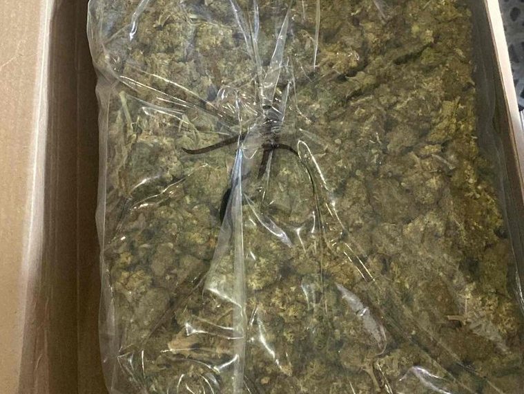 Localiza Gobierno de Sonora paquetes con mariguana en servicio de paquetería en Cajeme