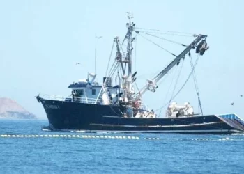 Producción sardinera disminuye por el clima en Guaymas; son 12 mil toneladas menos