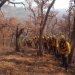 Gobierno de Sonora reporta 50 por ciento de control en incendio forestal en Yécora