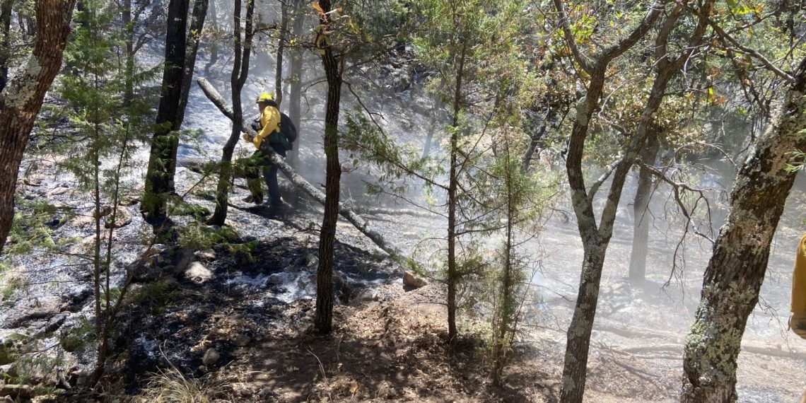 Gobierno de Sonora, en coordinación con instancias federales y municipales, mantiene combate a incendios forestales