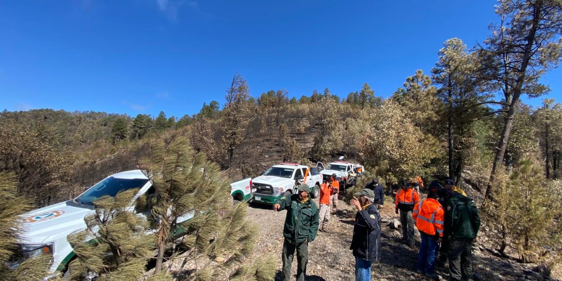 Continúa Gobierno de Sonora combate de cuatro incendios forestales