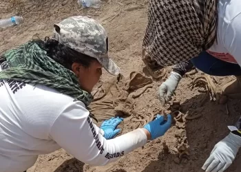 Encuentran cuatro osamentas en San Ignacio Río Muerto