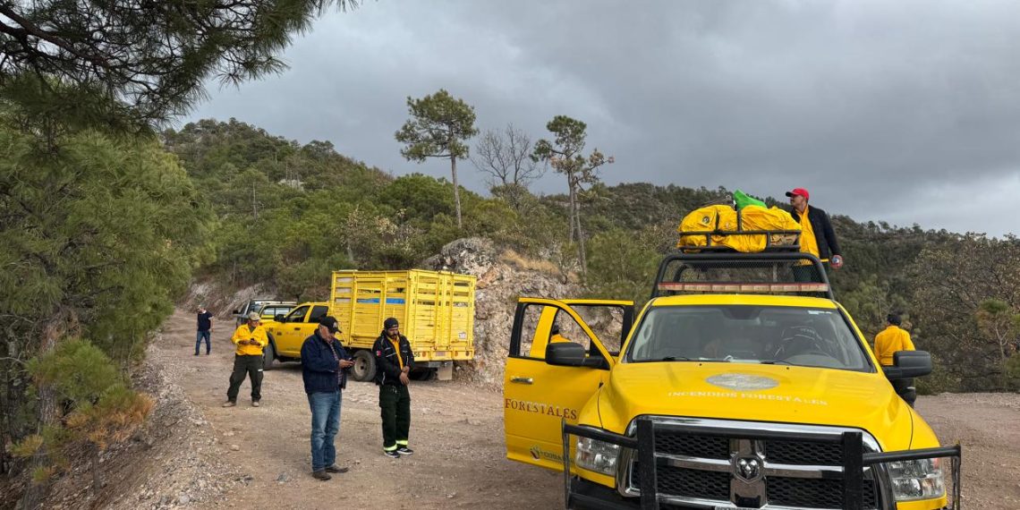 Siguen trabajando brigadistas para sofocar incendio en Nácori Chico