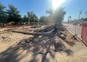 ¿Cómo vamos con el medio ambiente en Hermosillo?