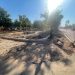 ¿Cómo vamos con el medio ambiente en Hermosillo?