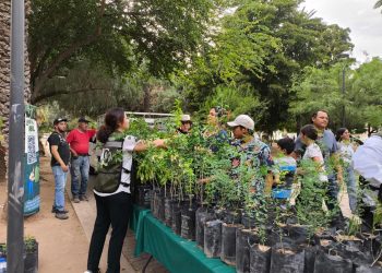 Logra Gobieno de Hermosillo récord en jornada de donación de plantas nativas