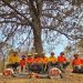 Gobierno de Sonora reporta 50 por ciento de control en incendio forestal en Yécora