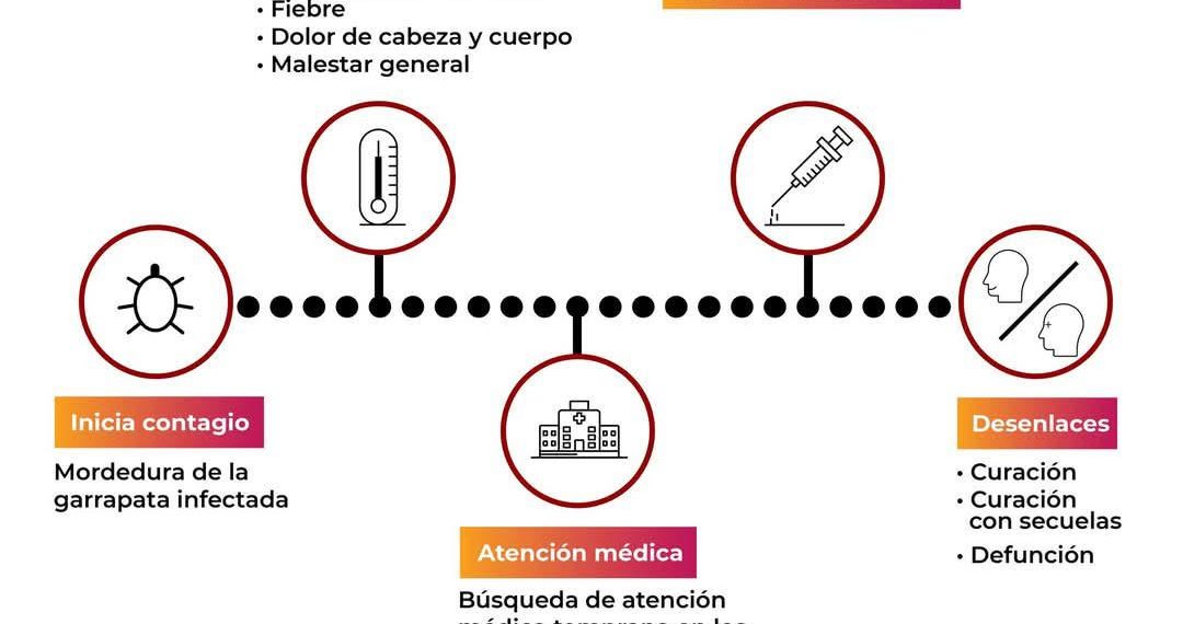 Gobierno de Sonora exhorta a acudir al médico ante síntomas de rickettsiosis