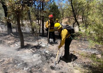 Gobierno de Sonora combate incendio forestal en Arizpe