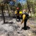 Gobierno de Sonora combate incendio forestal en Arizpe