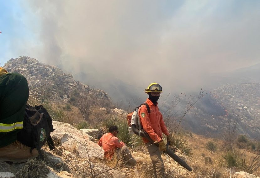 Gobierno de Sonora sofoca incendio forestal en Tubutama