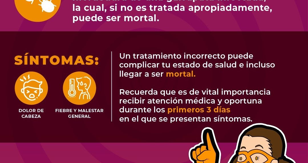 Exhorta Gobierno de Sonora a detectar a tiempo la rickettsiosis para una atención oportuna