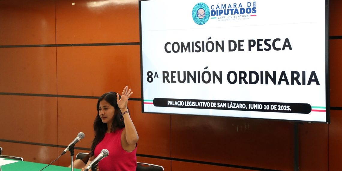 Comisión emite opinión a tres iniciativas orientadas a mejorar al sector pesquero